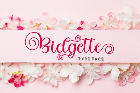 Bidgette: A Script Font for Elegant Web Design and Brand Identity
