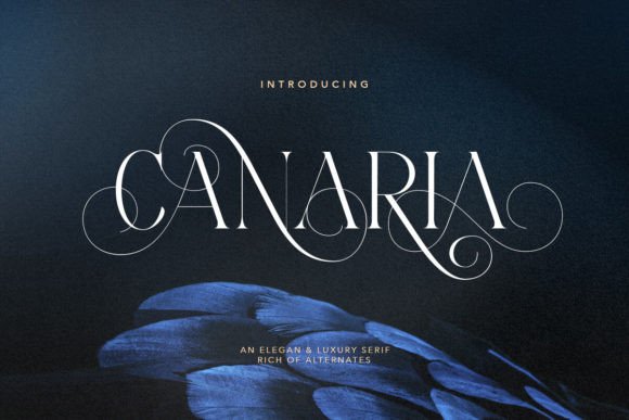 Canaria: The Serif Font That Elevates Your Brand’s Visual Identity